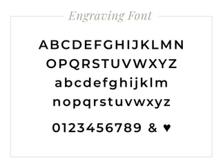 Titanium Skull Necklace